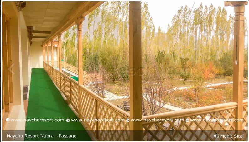 Naycho Resort, Nubra valley 5